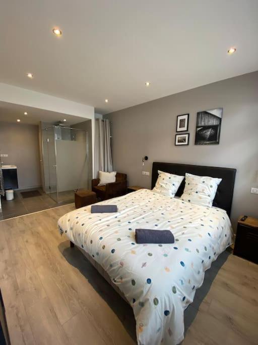 Appartement Le Petit Brooklyn Strasbourg